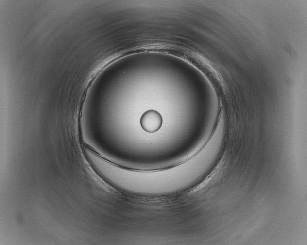 X0000113031417200908271445