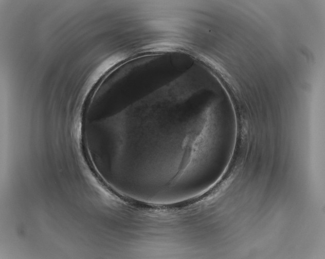 X0000113031418200908271445