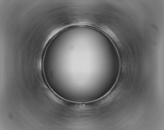 X0000113031420200908271445