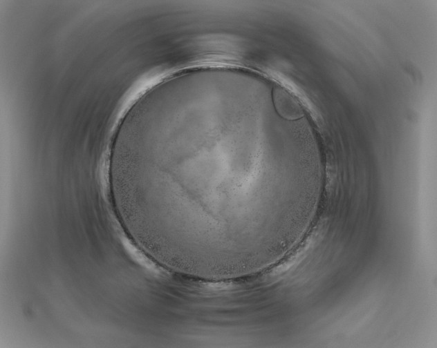 X0000113031421200908271445