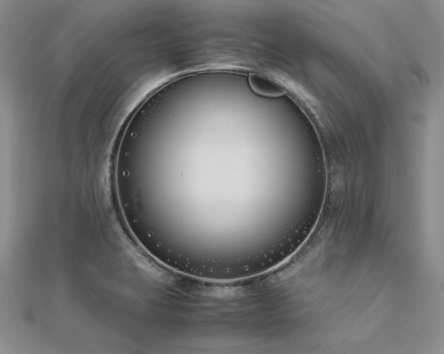 X0000113031423200908271445