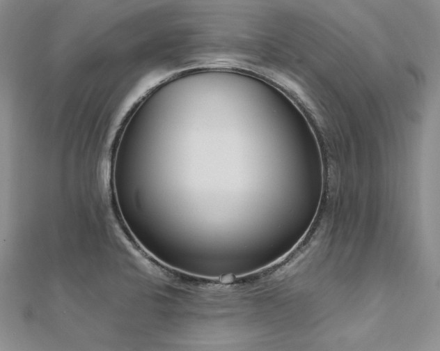 X0000113031424200908271445