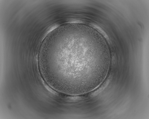 X0000113031425200908271445