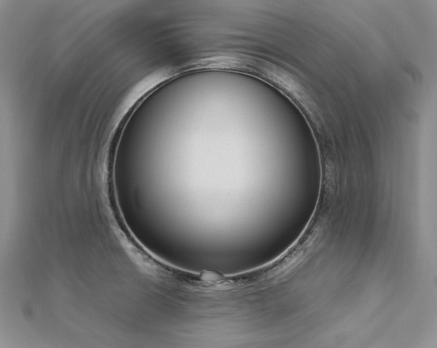 X0000113031426200908271445