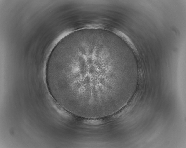 X0000113031427200908271445