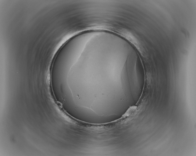 X0000113031428200908271445