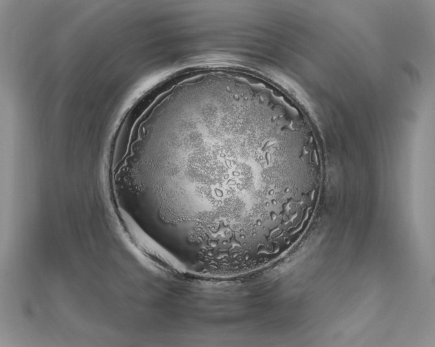 X0000113031429200908271445