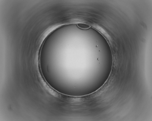 X0000113031431200908271445