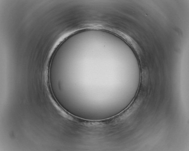 X0000113031432200908271445