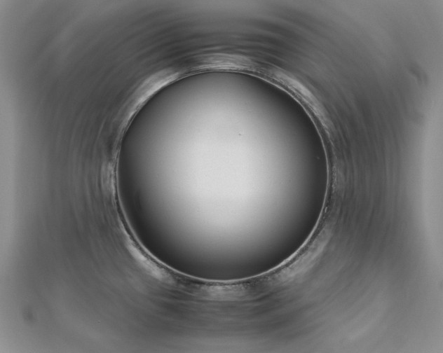 X0000113031433200908271445