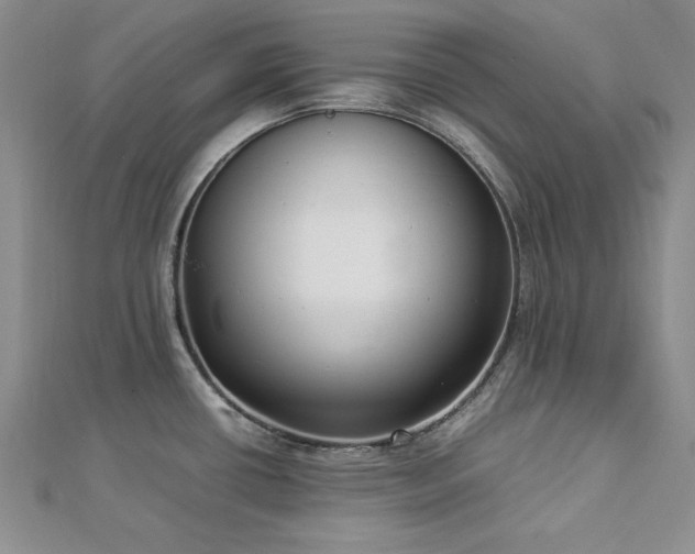 X0000113031434200908271445