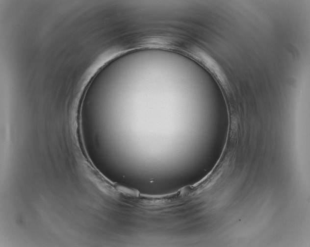 X0000113031435200908271445