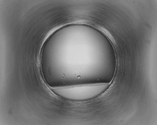 X0000113031436200908271445