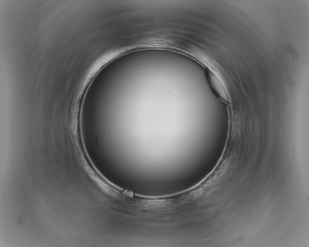 X0000113031437200908271445