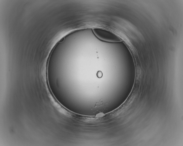 X0000113031439200908271445