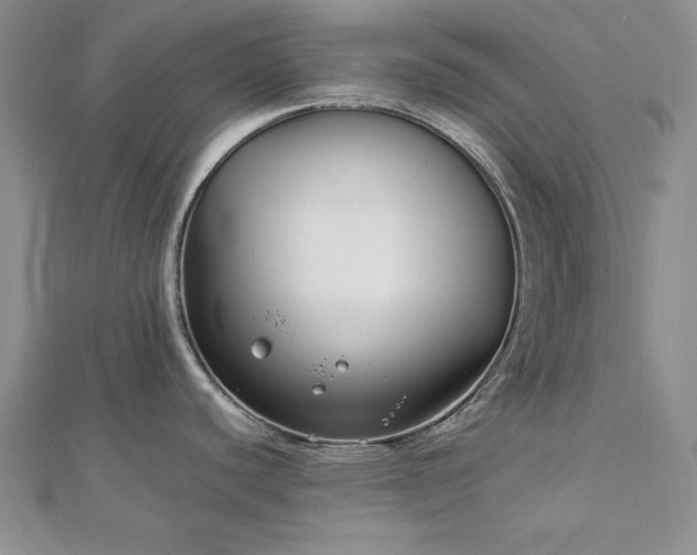 X0000113031440200908271446