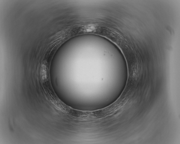 X0000113031442200908271445