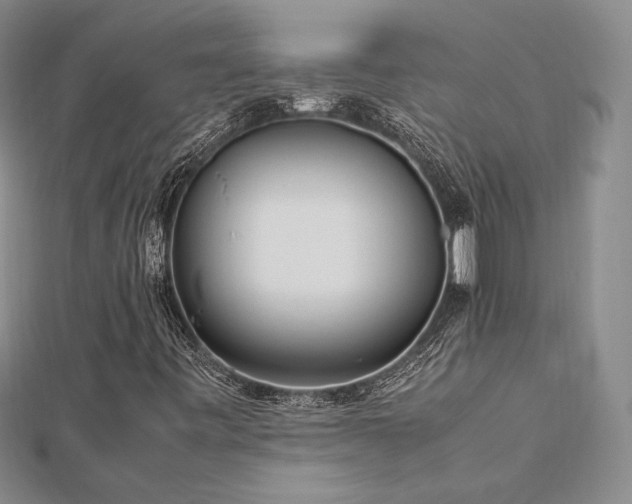 X0000113031443200908271445