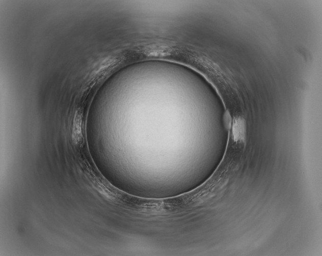 X0000113031444200908271445