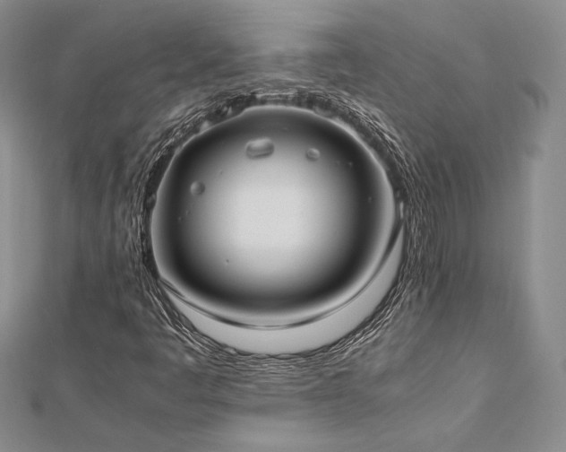 X0000113031445200908271445