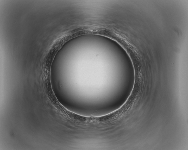 X0000113031447200908271445