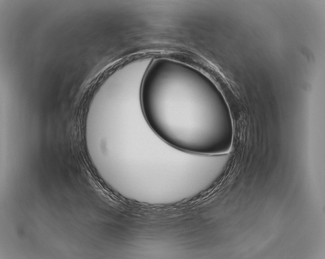 X0000113031448200908271445