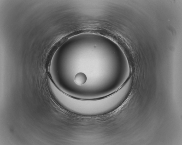 X0000113031449200908271445