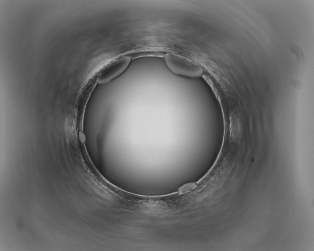 X0000113031452200908271445