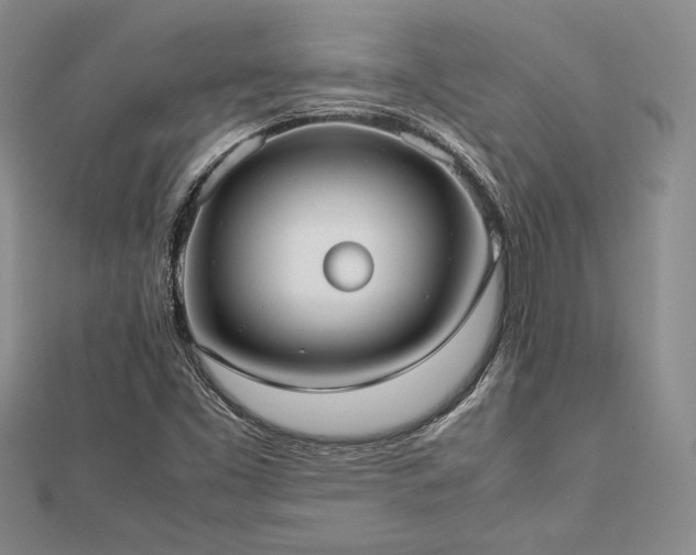 X0000113031453200908271445