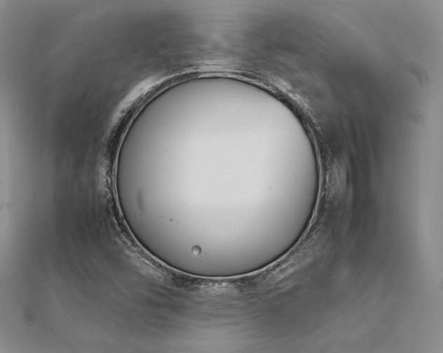 X0000113031454200908271445