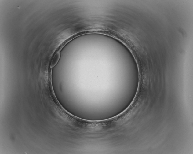 X0000113031457200908271445