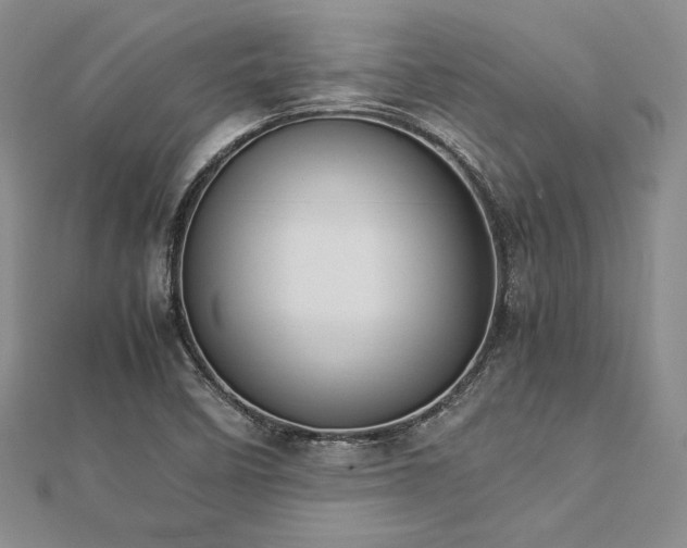 X0000113031458200908271445