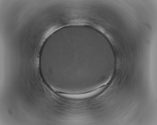 X0000113031459200908271445