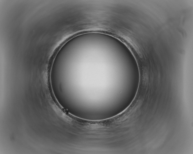 X0000113031460200908271444