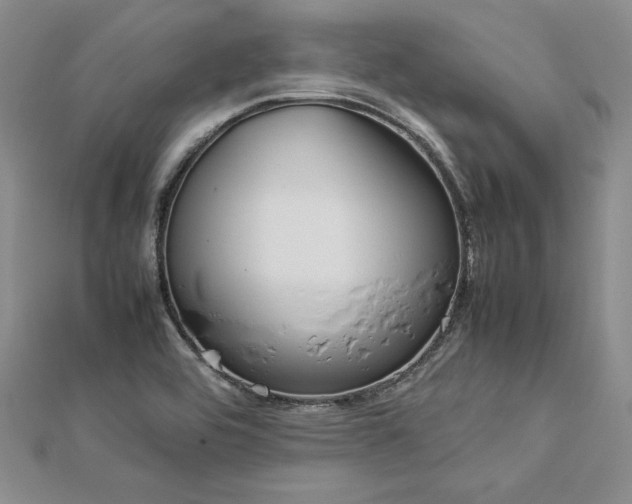 X0000113031464200908271444