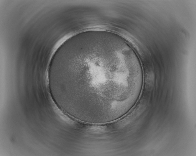 X0000113031466200908271444