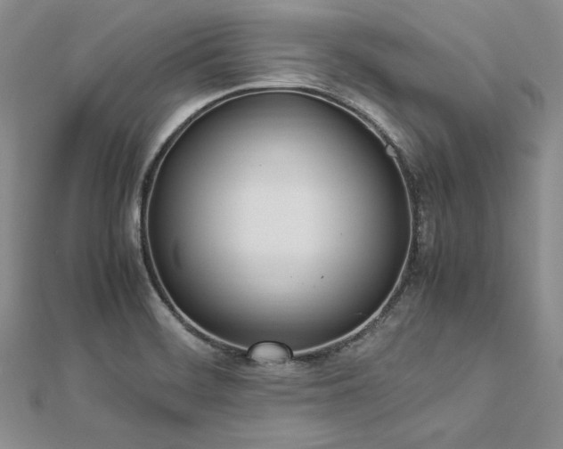 X0000113031468200908271444