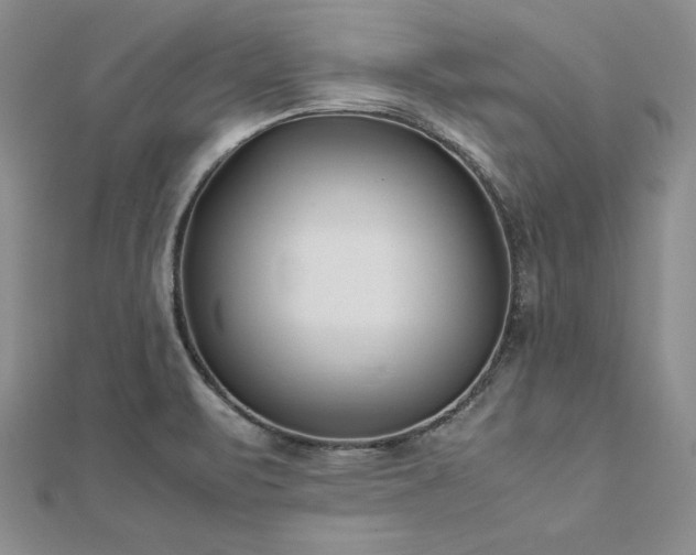 X0000113031471200908271444