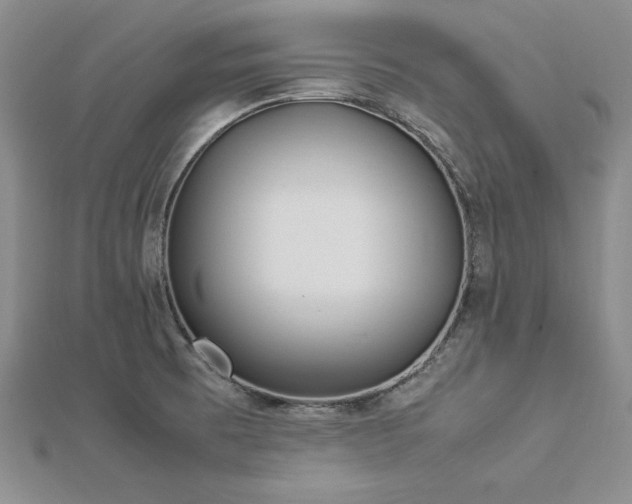 X0000113031473200908271444