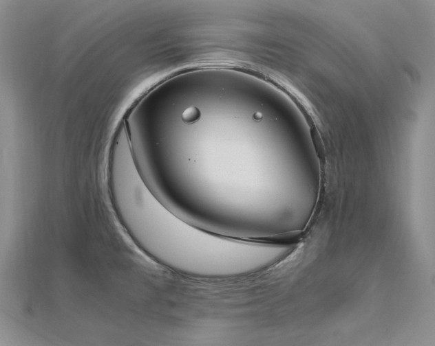 X0000113031477200908271444