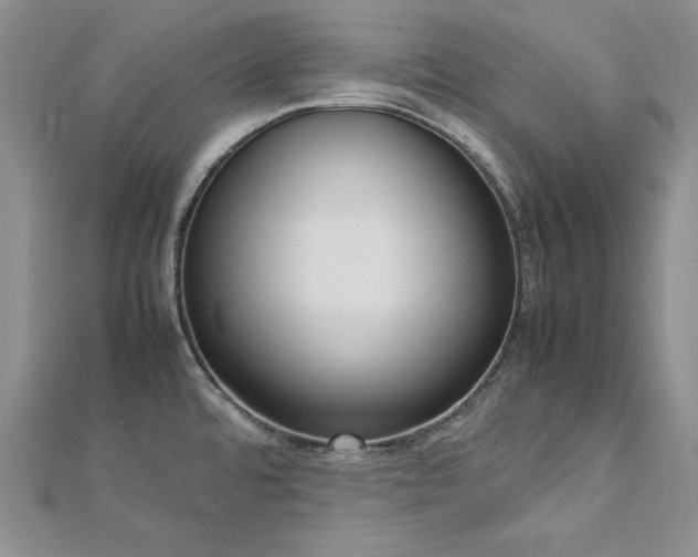 X0000113031480200908271444