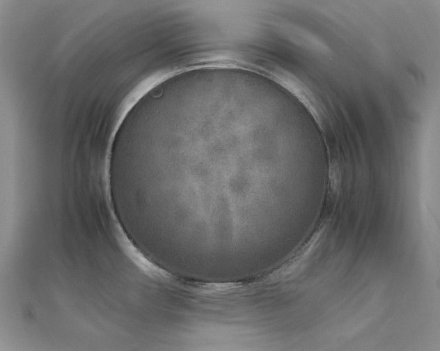 X0000113031482200908271444