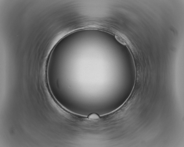 X0000113031483200908271444