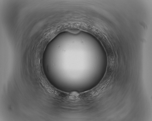 X0000113031489200908271443