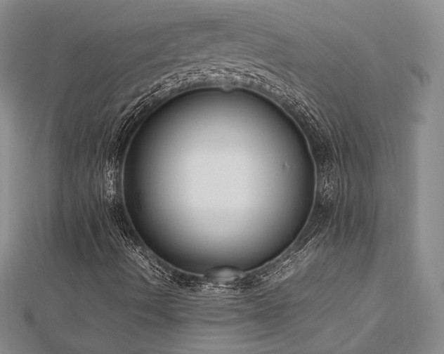 X0000113031490200908271443