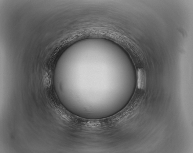 X0000113031491200908271443