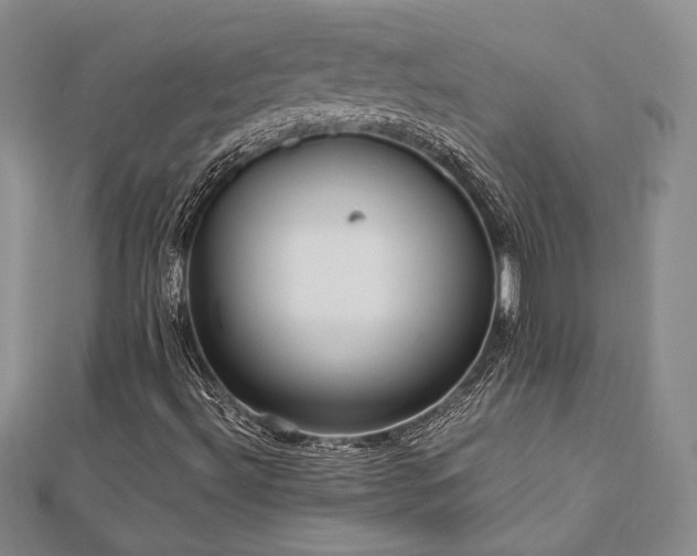 X0000113031492200908271443