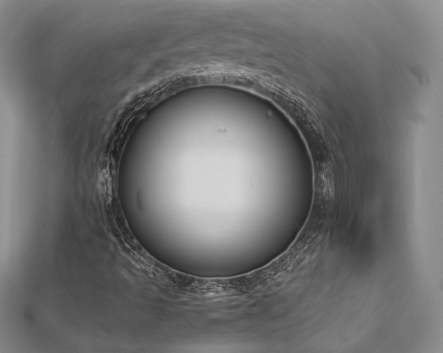 X0000113031493200908271443