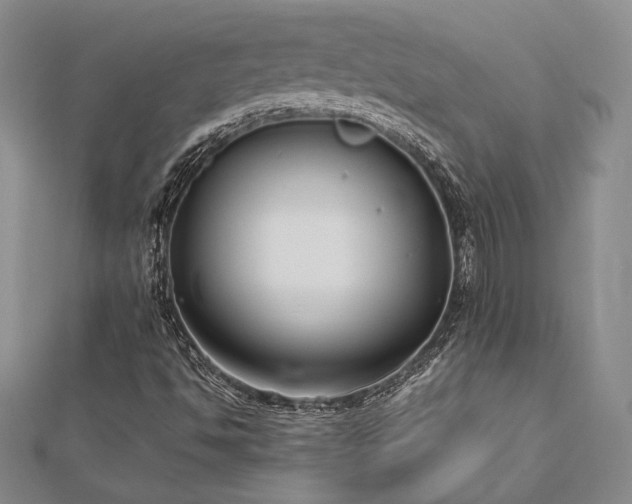 X0000113031494200908271443