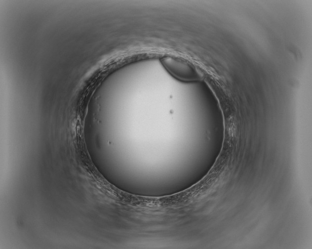 X0000113031495200908271443